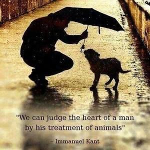 Meet your Posher, Mia